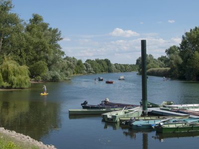 Altrhein_Ginsheim_Zoom